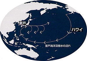 室戸海洋深層水の流れ